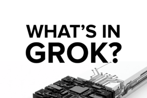 What’s in Grok? (2025)